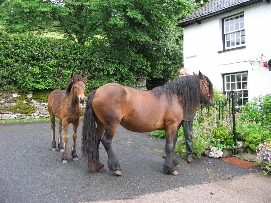 High Fold Guest House Troutbeck  Exterior foto