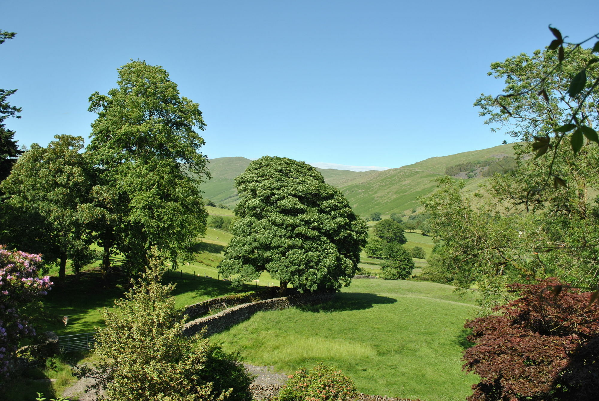 High Fold Guest House Troutbeck  Exterior foto